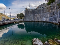 Kotor